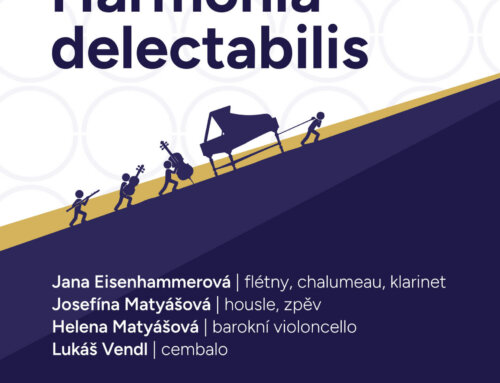 Koncert na kopci